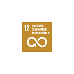 sdg12.png