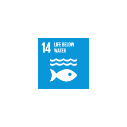 sdg14.png