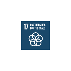 sdg17.png
